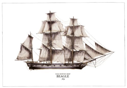 HMS Beagle 1831 by Tony Fernandes